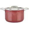 All-Clad FusionTec Ceramic Soup Pot 4 Quart Induction Oven Broiler Safe 500F Pots and Pans, Cookware Platinum(Rose Quartz)